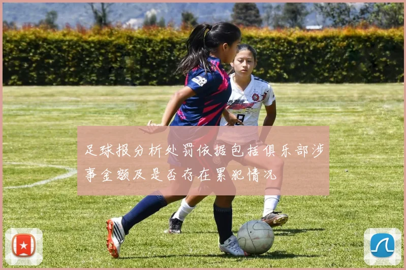 足球报分析处罚依据包括俱乐部涉事金额及是否存在累犯情况